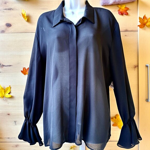 Wheaton & Katz Ltd LIMITED EDITION Long Sleeve Blouse Button Up SHEER Large New - Picture 11 of 12